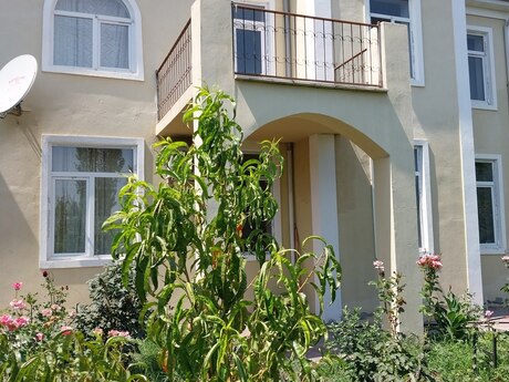 8 otaqlı həyət evi/bağ evi - Xudat - 200 m²