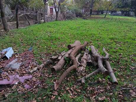 Satılır torpaq 12 sot, Qəbələ