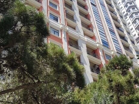 Kirayə 2 otaqlı mənzil, 65 m², Şah İsmayıl Xətai: 1 300 ₼/ay 4