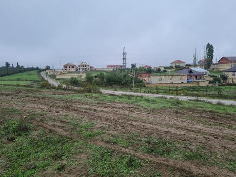 Участок - Губа - 100 сот