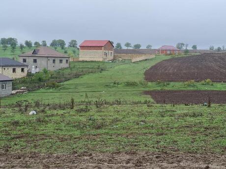 Объявление №5860290 - Губа, Губа, 100 сот