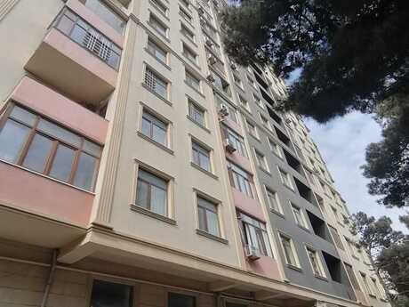 Объявление №5860833 - Баку, м. Мемар Аджеми, 331 м²