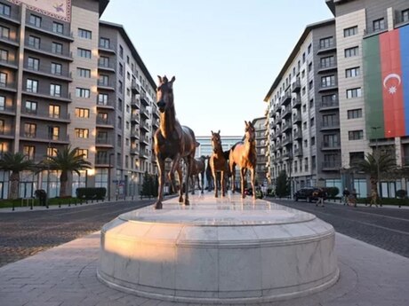 Объявление №5864422 - Баку, пос. Аг шехер, 165 м²