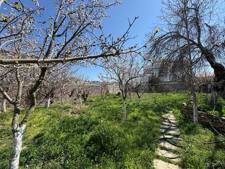 7 otaqlı həyət evi/bağ evi - Badamdar q. - 600 m²