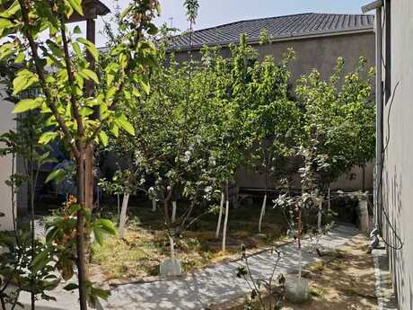 5 otaqlı həyət evi/bağ evi - Binə q. - 130 m²