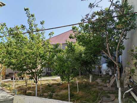 5 otaqlı həyət evi/bağ evi - Binə q. - 130 m²