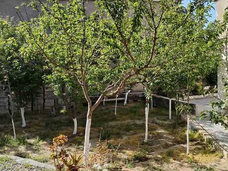 5 otaqlı həyət evi/bağ evi - Binə q. - 130 m²