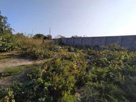 Объявление №5867624 - Баку, м. Ичеришехер, 62 сот