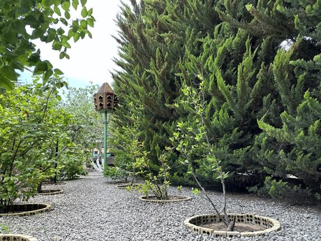 House with Garden, Villa For Sale