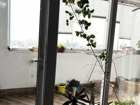 3 otaqlı mənzil, 79 m², Qara Qarayev: 240 000 ₼ 5