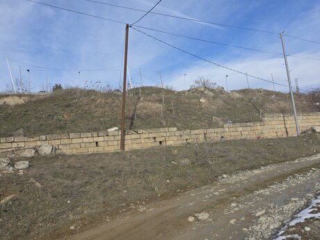 Torpaq - Şamaxı - 12 sot