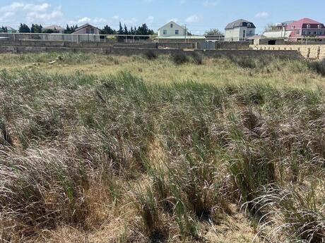 Объявление №5873383 - Баку, пос. Пиршаги, 12 сот