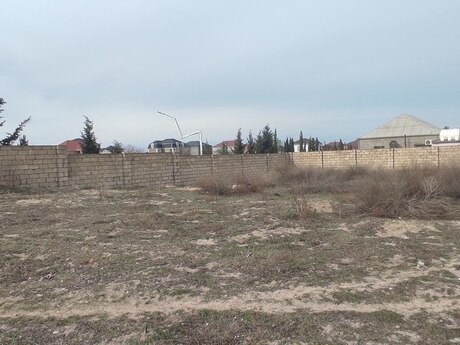Torpaq - Novxanı q. - 3 sot