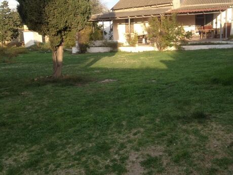 Объявление №5878097 - Баку, пос. Бильгях, 15 сот