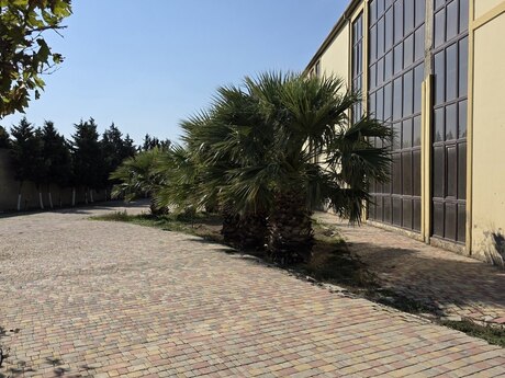 Obyekt - Şıxov q. - 1000 m²