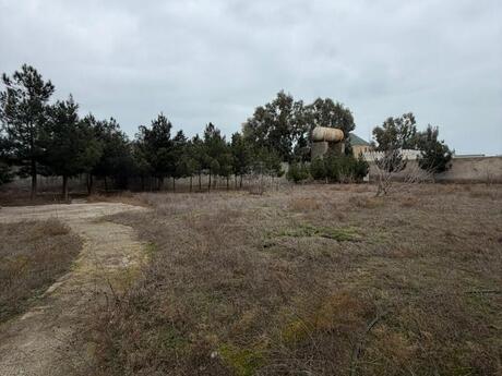 Объявление №5878583 - Баку, пос. Шувеляны, 12 сот