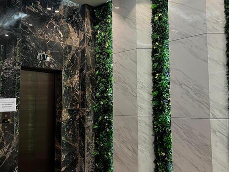 Объявление №5813744 - Баку, м. Дернегюль, 4-комн., 130 м²