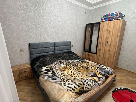 4 otaqlı həyət evi/bağ evi - Albalılıq q. - 145 m²