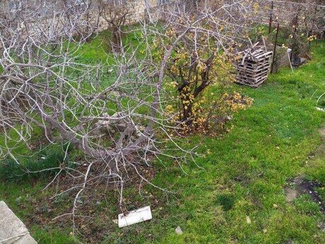 Объявление №5883286 - Баку, пос. Сулутепе, 4 сот