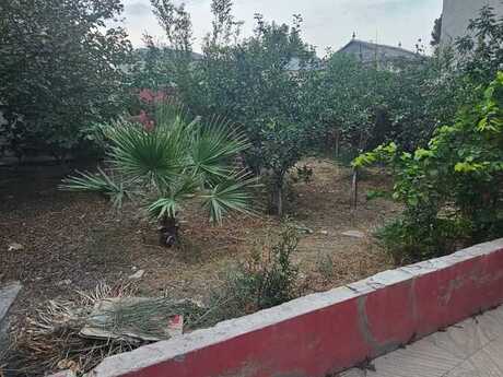 5 otaqlı həyət evi/bağ evi - Sulutəpə q. - 240 m²