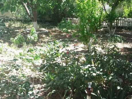 Elan №5885660 - Bakı, Badamdar q., 6 sot