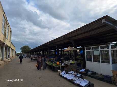 Объявление №5886875 - Масаллы, Масаллы, 24 сот