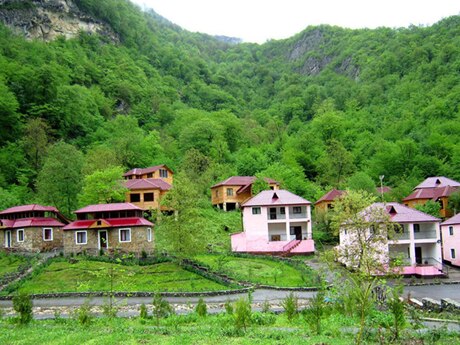 Elan №5887045 - Lerik, Lerik, 14 sot