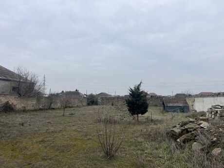 4 otaqlı həyət evi/bağ evi - Albalılıq q. - 170 m²