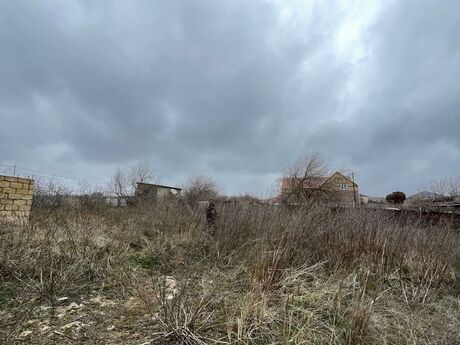 Объявление №5889029 - Баку, Сабунчинский  р., 200 сот