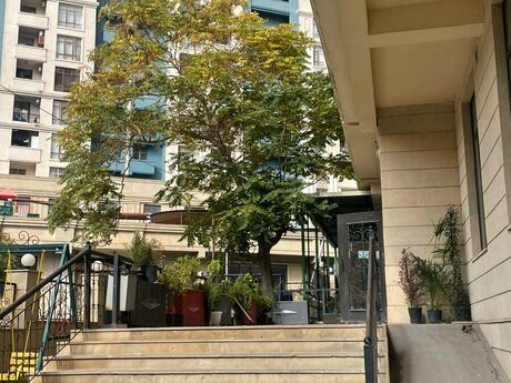 2 otaqlı yeni tikili - Gənclik m. - 55 m²