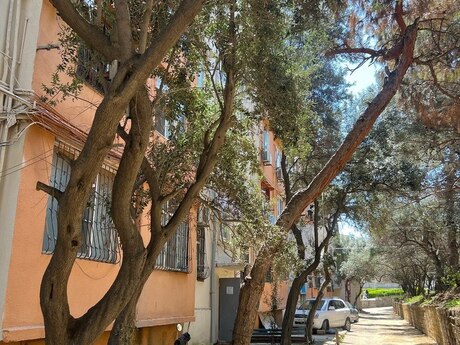 Объявление №5889844 - Баку, м. Мемар Аджеми, 2-комн., 58 м², 2/5 этаж