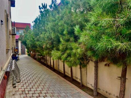 4 otaqlı həyət evi/bağ evi - Badamdar q. - 166 m²
