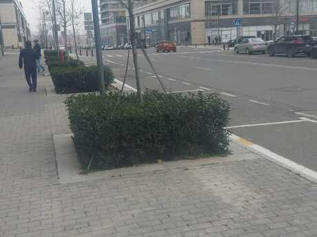 Obyekt - Ağ şəhər q. - 1900 m²