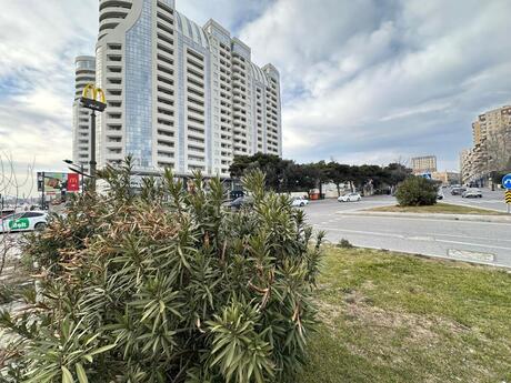 4-room apartment, 200 m², Ağ şəhər: 440 000 ₼ 2