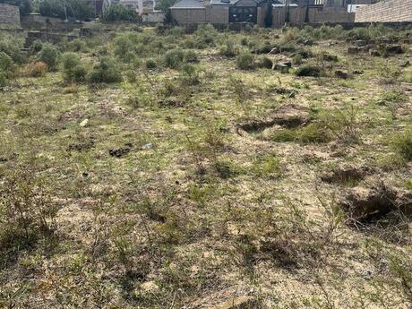 Объявление №5892020 - Баку, пос. Дюбенди, 10 сот