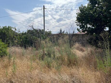 Elan №5894589 - Bakı, Novxanı q., 5.5 sot