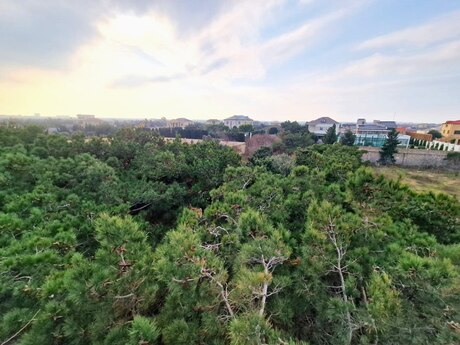 9 otaqlı həyət evi/bağ evi - Nardaran q. - 810 m²