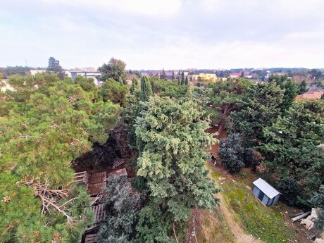 9 otaqlı həyət evi/bağ evi - Nardaran q. - 810 m²