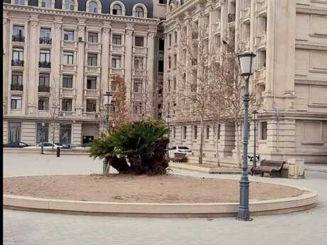 3 otaqlı mənzil, 100 m², Bayıl: 270 000 ₼ 3