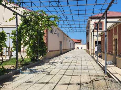 Elan №5898217 - Bakı, Məmmədli q., 24000 m²