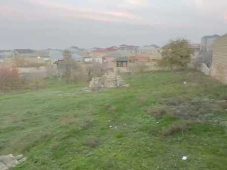 Elan №5899507 - Bakı, Saray q., 10 sot