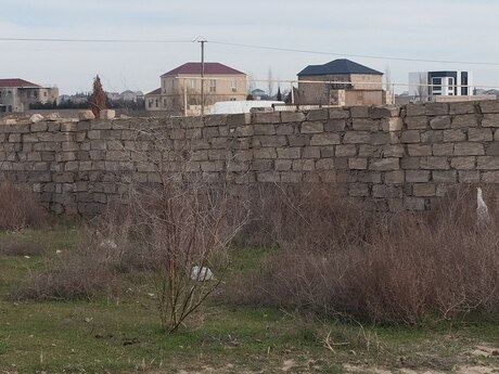 Nardaran q.