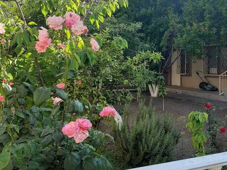 Объявление №5900287 - Баку, Сабунчинский  р., 7-комн., 670 м²