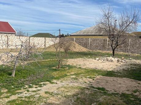 Объявление №5900396 - Баку, пос. Мардакан, 5.5 сот