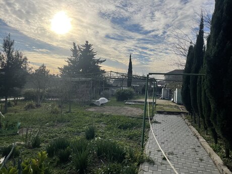 4 otaqlı həyət evi/bağ evi - Albalılıq q. - 150 m²