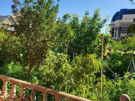 Elan №5904674 - Bakı, Ağ şəhər q., 17 sot