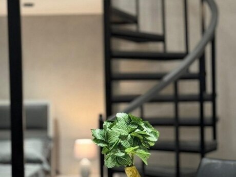 1 otaqlı köhnə tikili - Sahil m. - 52 m²