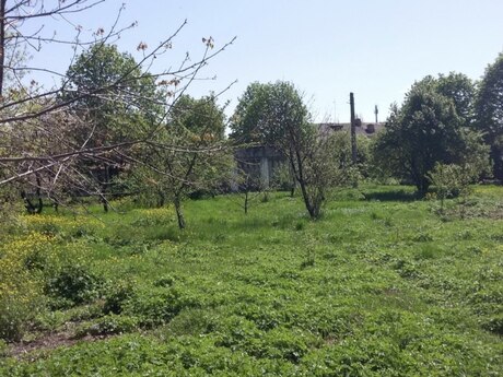 Satılır torpaq 60 sot, Quba