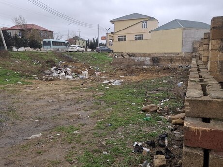 Elan №5907717 - Bakı, Saray q., 2 sot