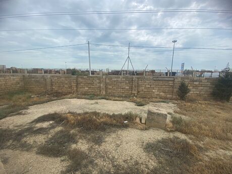 Объявление №5908801 - Баку, пос. Бадамдар, 100 сот